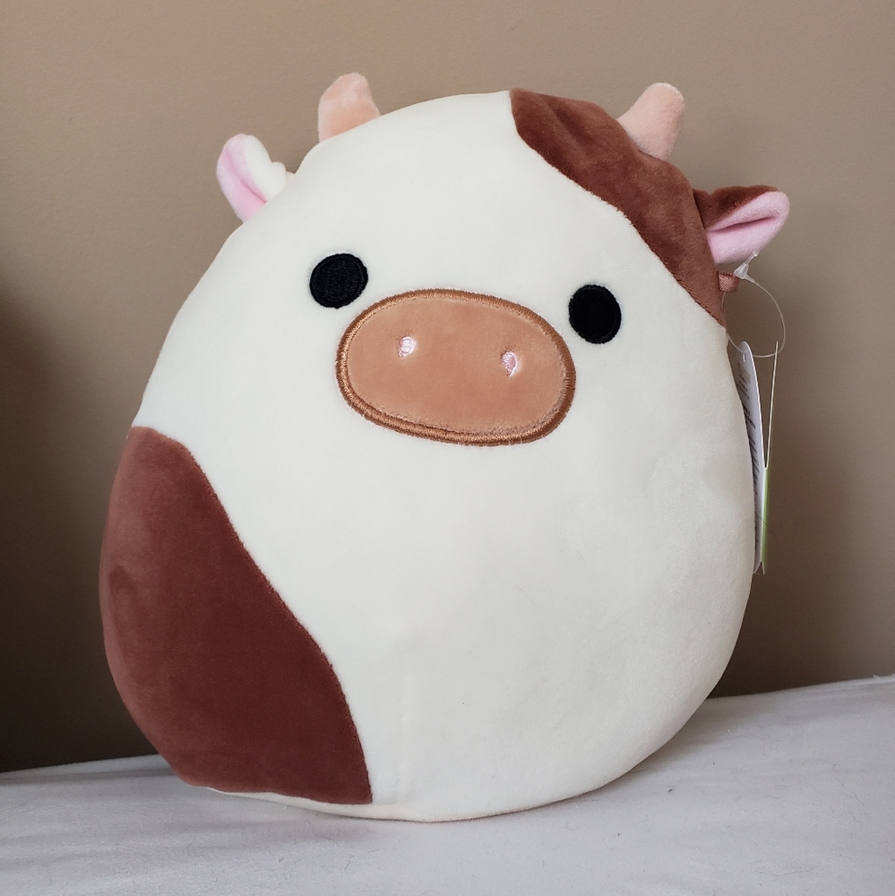 Ronnie 8" Squishmallow